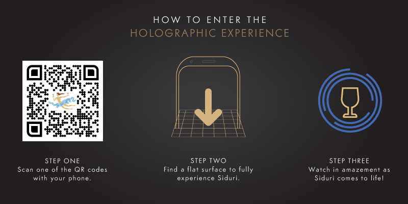 how to enter perfect pinot match holographic experience