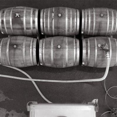 Barrels in winery